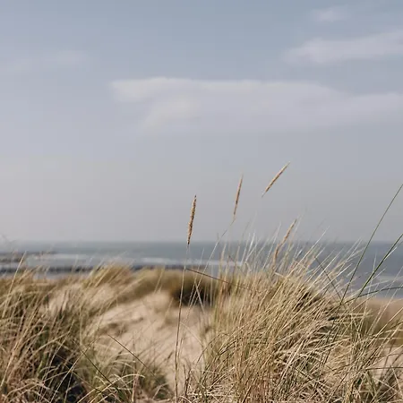 Villa Nice Only 10km From Ostend